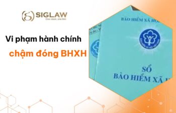 Vi phạm hành chính khi chậm đóng BHXH