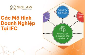 Các Mô Hình Doanh Nghiệp Tại IFC