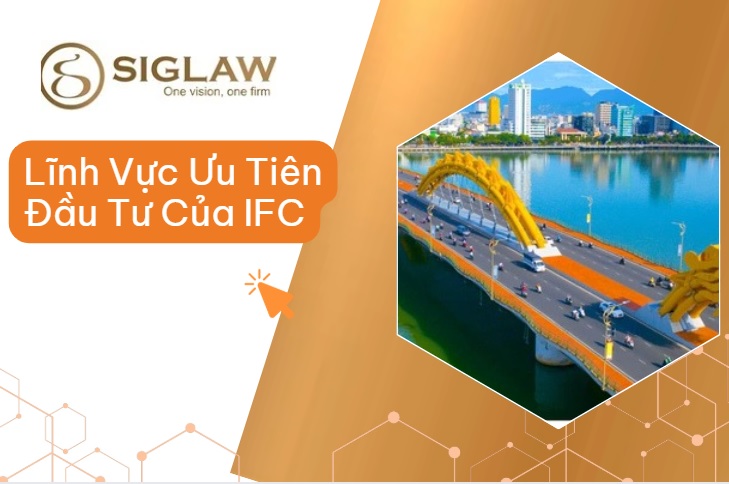 Lĩnh Vực Ưu Tiên Đầu Tư Của IFC Tại Việt Nam