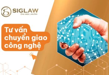 Dịch vụ tư vấn chuyển giao công nghệ