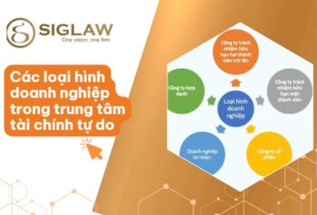 Mô hình doanh nghiệp được thành lập trong FTZ