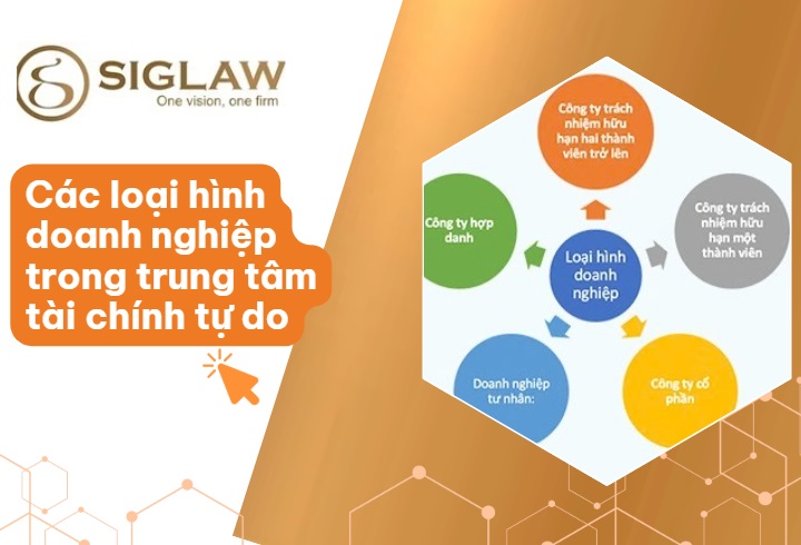 Mô hình doanh nghiệp được thành lập trong FTZ