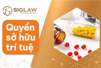 so huu tri tue trong nganh duoc pham Sở hữu trí tuệ trong ngành dược phẩm