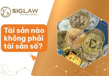 Tài sản nào không phải tài sản số?