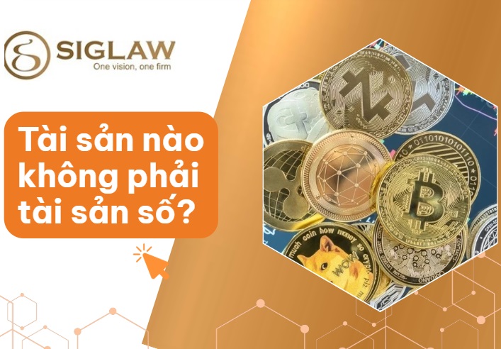 Tài sản nào không phải tài sản số? Tài sản nào không phải tài sản số?