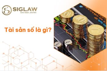 Tài sản số là gì?