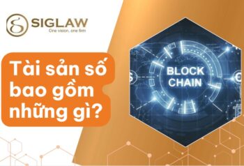 Tài sản số bao gồm những gì?