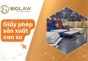 Giấy phép sản xuất cao su: Điều kiện & Trình tự thủ tục