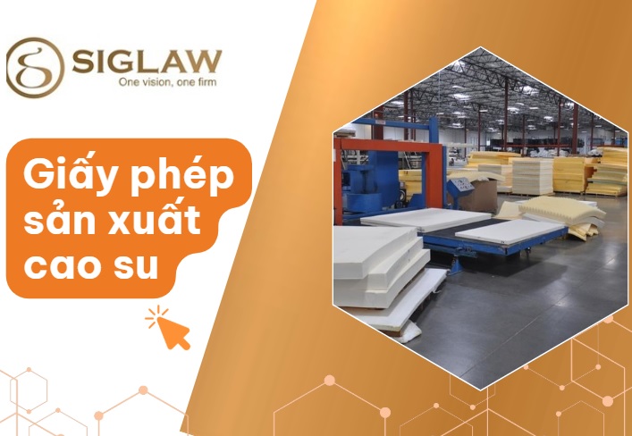 Giấy phép sản xuất cao su: Điều kiện & Trình tự thủ tục Giấy phép sản xuất cao su: Điều kiện & Trình tự thủ tục