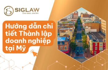 Thành lập công ty tại Mỹ: Loại hình, Hồ Sơ & Thủ tục [2026]
