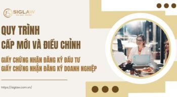 Cấp mới & Điều chỉnh IRC, ERC