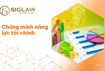 Chứng minh năng lực tài chính khi thành lập công ty FDI