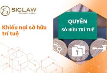 Dịch vụ khiếu nại sở hữu trí tuệ
