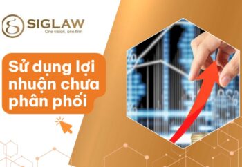 Sử dụng lợi nhuận chưa phân phối để tăng vốn DN FDI