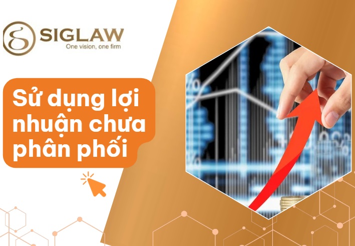 Sử dụng lợi nhuận chưa phân phối để tăng vốn DN FDI