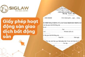 Giấy phép hoạt động sàn giao dịch bất động sản