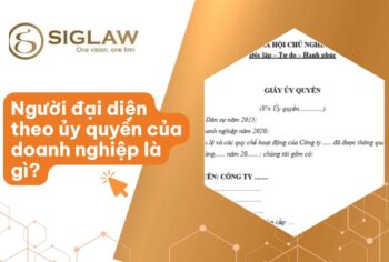 Người đại diện theo ủy quyền: Trách nhiệm & Rủi ro [2026]