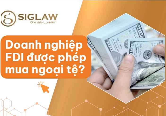 Các trường hợp doanh nghiệp FDI được mua ngoại tệ Các trường hợp doanh nghiệp FDI được mua ngoại tệ