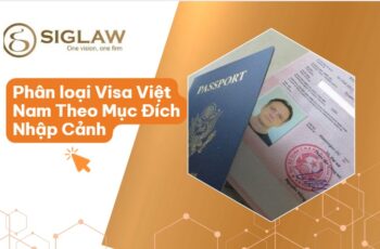 cac loai visa viet nam theo muc dich nhap canh Các Loại Visa Việt Nam Theo Mục Đích Nhập Cảnh Mới Nhất 2026