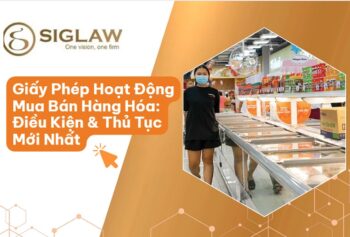 Giấy Phép Hoạt Động Mua Bán Hàng Hóa: Điều Kiện & Thủ Tục Mới Nhất 2026