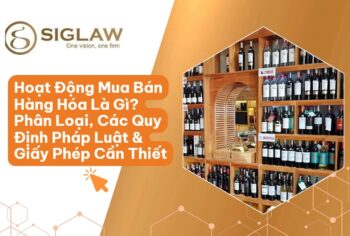 Hoạt Động Mua Bán Hàng Hóa Là Gì? Quy Định & Giấy Phép Cần Biết 2026