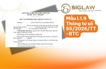 Mẫu I.1.9 Báo cáo tình hình thực hiện dự án đầu tư