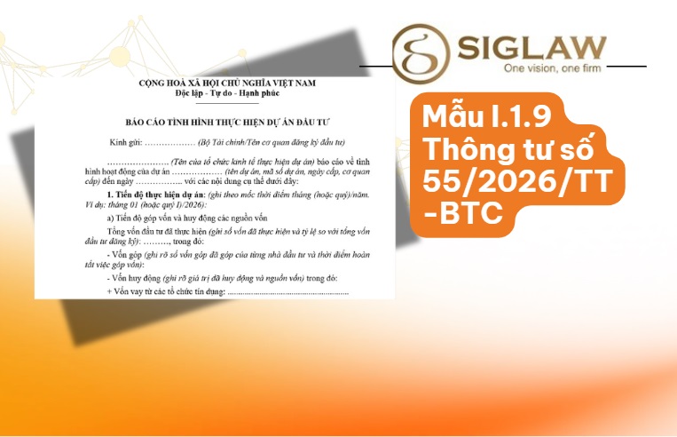 Mẫu I.1.9 Báo cáo tình hình thực hiện dự án đầu tư