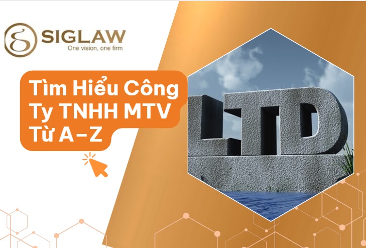 Công ty TNHH MTV là gì? Đặc điểm, quyền và thủ tục thành lập