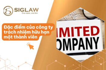 Đặc điểm của công ty TNHH 1 thành viên