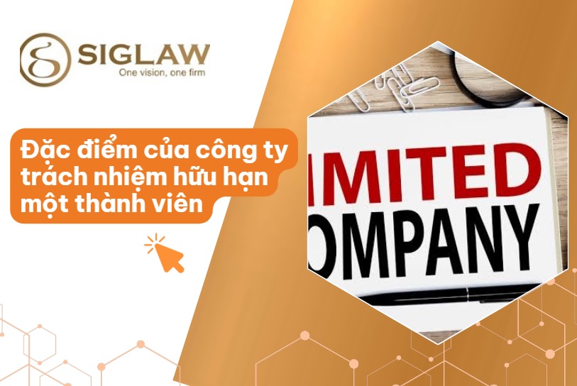 Đặc điểm của công ty TNHH 1 thành viên
