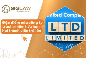 Đặc điểm của công ty TNHH 2 thành viên trở lên