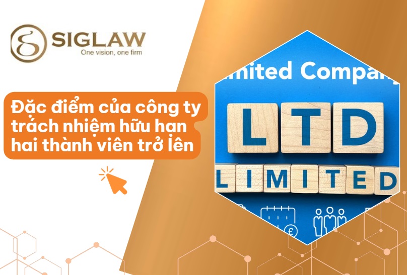 Đặc điểm của công ty TNHH 2 thành viên trở lên