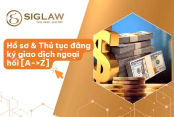 Đăng ký giao dịch ngoại hối: Hồ sơ & Thủ tục