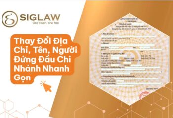 Dịch Vụ Thay Đổi Giấy Phép Chi Nhánh Uy Tín, Giá Chỉ 700K
