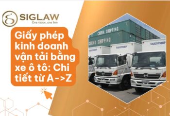 Giấy phép kinh doanh vận tải bằng xe ô tô: Điều kiện, hồ sơ & Thủ tục