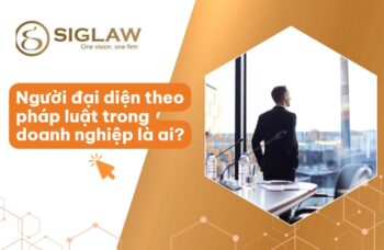 Người đại diện theo pháp luật là gì? Điều kiện, Quyền & Trách nhiệm