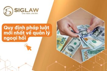 Quy Định Về Quản Lý Ngoại Hối