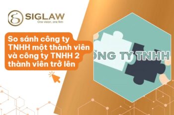 So sánh công ty TNHH 2 thành viên với 1 thành viên