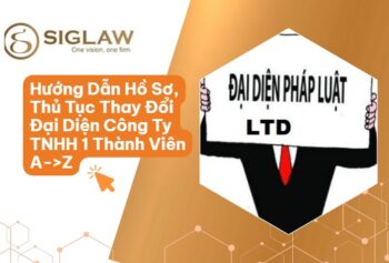 Thay Đổi Người Đại Diện Pháp Luật Công Ty TNHH MTV: Hồ Sơ, Thủ Tục Chi Tiết 2026