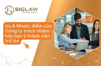 Ưu điểm & Nhược điểm của công ty TNHH hai thành viên