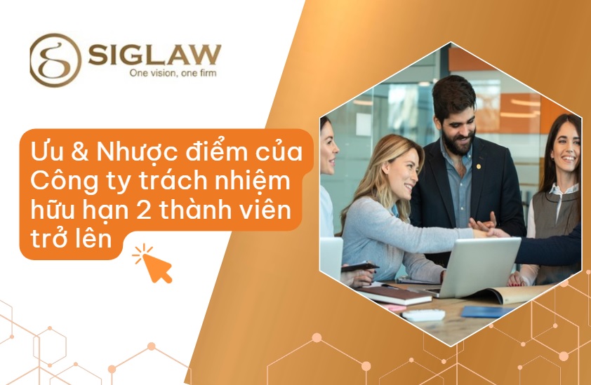 Ưu điểm & Nhược điểm của công ty TNHH hai thành viên