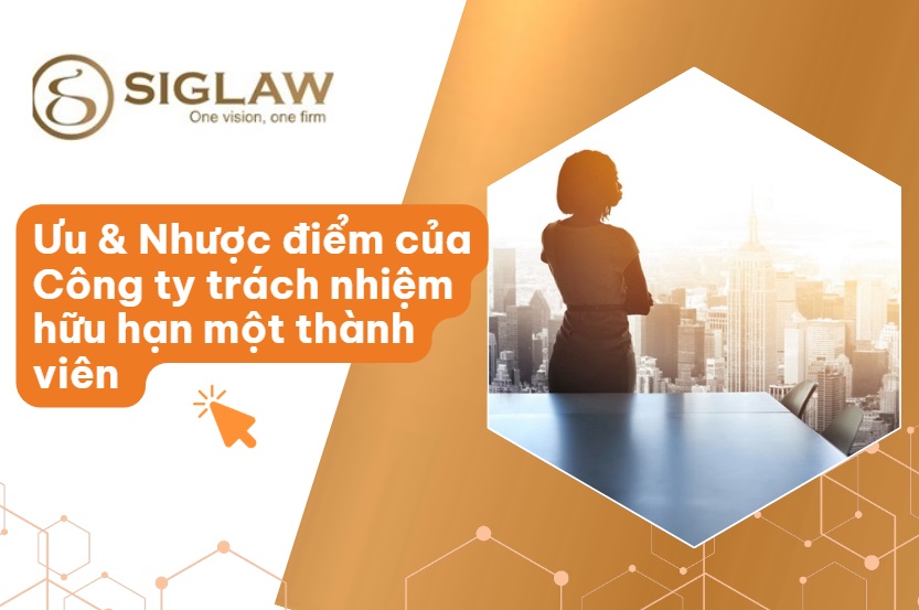 Ưu điểm & Nhược điểm của công ty TNHH một thành viên