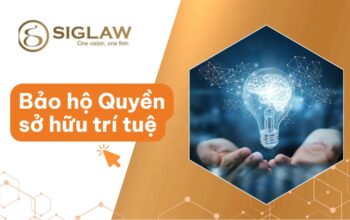 Biện pháp bảo hộ Quyền sở hữu trí tuệ theo Luật [Mới nhất 2026]