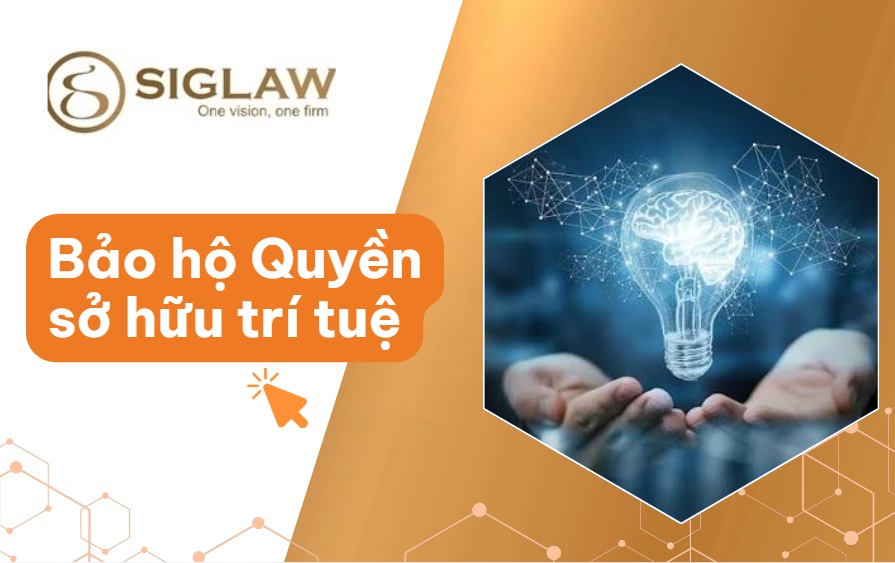 Biện pháp bảo hộ Quyền sở hữu trí tuệ theo Luật [Mới nhất 2026]