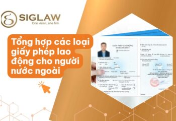 Các loại giấy phép lao động cho người nước ngoài [Mới 2026]