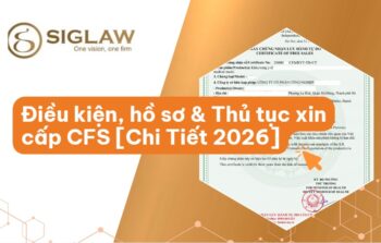 Giấy chứng nhận lưu hành tự do (CFS) là gì? Hồ sơ & Thủ tục [Chi tiết 2026]