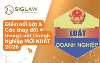 Luật doanh nghiệp mới nhất 2026: Điểm nổi bật & Các thay đổi