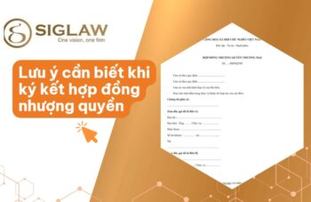 Lưu ý trong hợp đồng nhượng quyền thương mại [Chi tiết 2026]