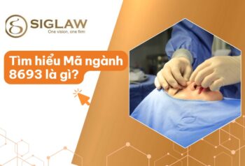 Mã ngành 8693 Hoạt động chỉnh hình và phục hồi chức năng
