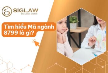 Mã ngành 8799 Hoạt động chăm sóc tập trung khác